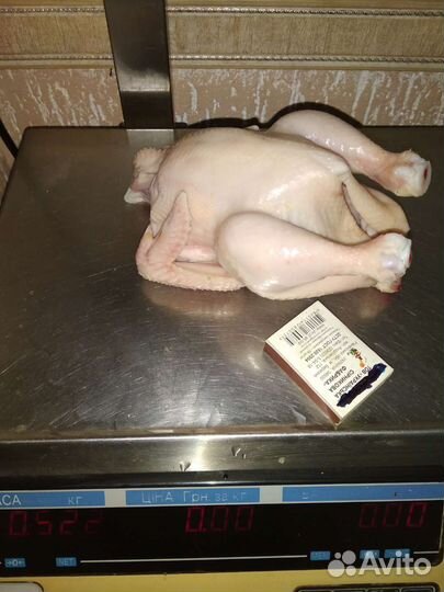 Корнишоны цыплята