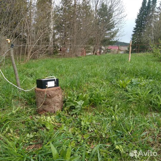 Электропастух