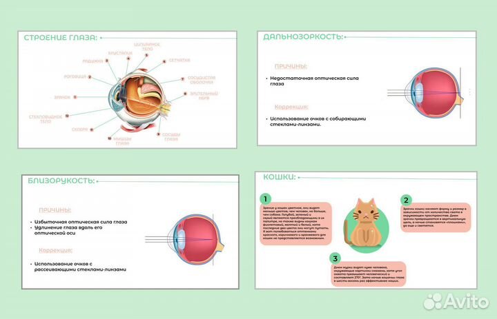 Презентация на заказ