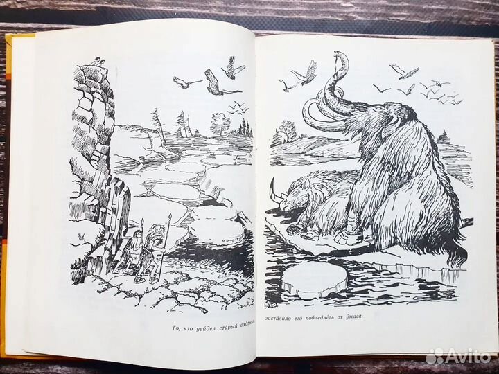 Д Эрвильи Э. Приключения доисторического мальчика