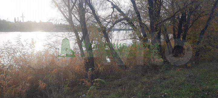 Участок 21 сот. (СНТ, ДНП)