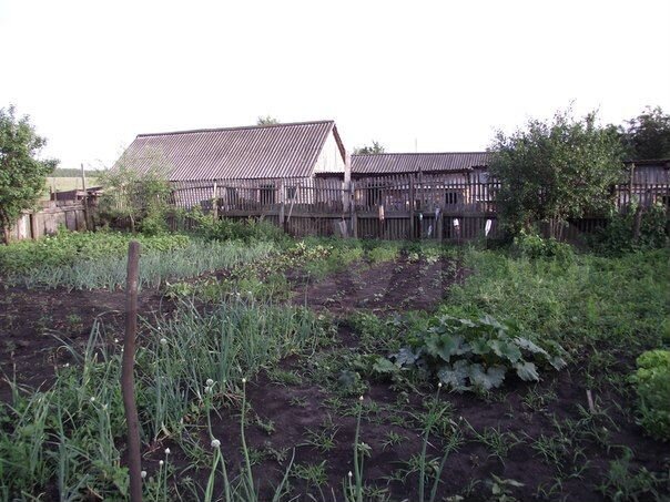 Дом 74 м² на участке 40 сот.