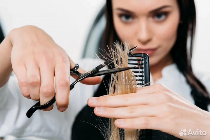Стрижка бесплатно