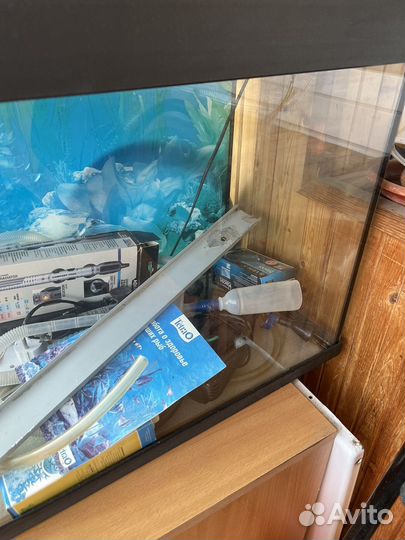 Аквариум