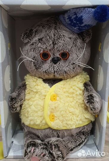 Кот басик