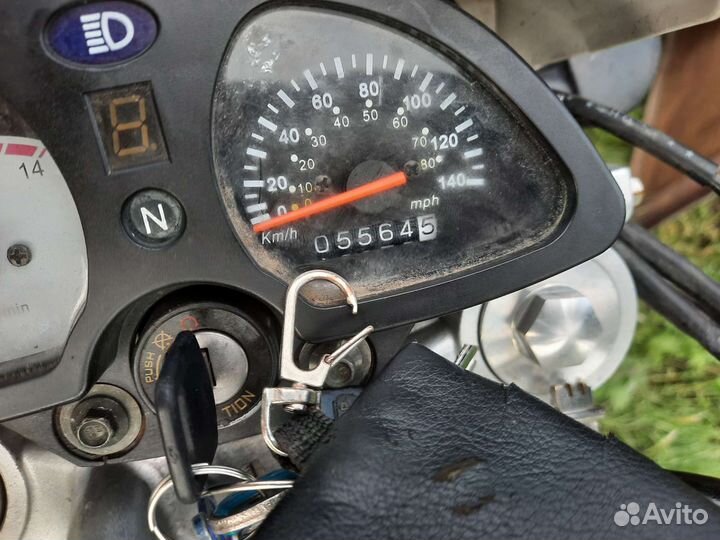 Ирбис ттр250Р