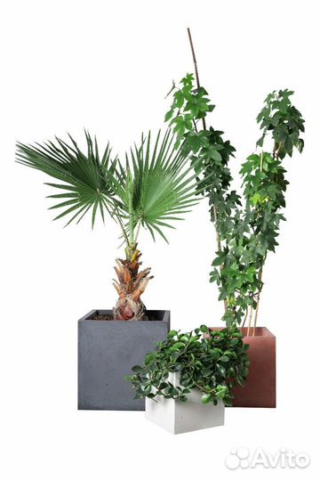 Бетонные вазоны на заказ и в наличии