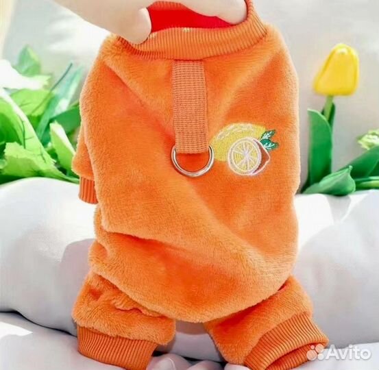Комбинезон для собак