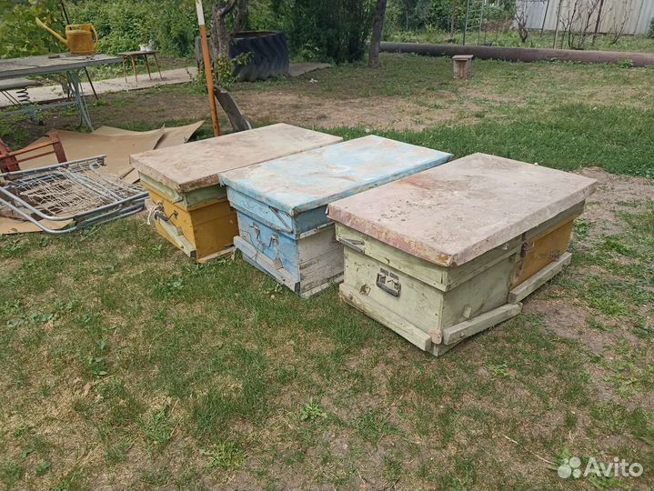 Улей для пчел бу