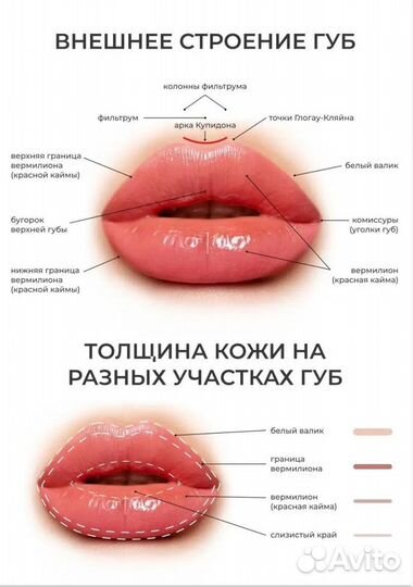 Обучение инъекционной косметологии