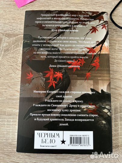 Книга Лия Арден - Двойник запада