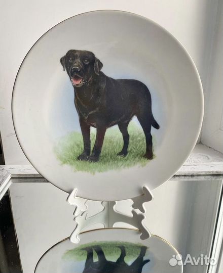 Декоративная тарелка «собаки»