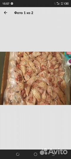 Лапки голва для собаки кошки