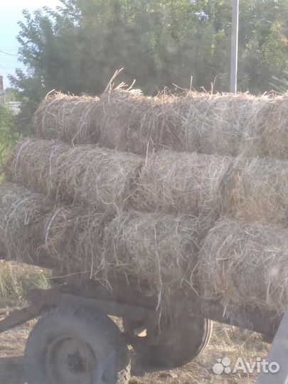 Сено люцерна с разнотравием,маленькими рулонами