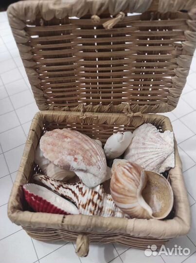 Плетёный сундучок с набором ракушек