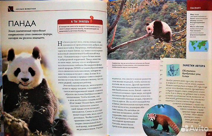 Энциклопедия 