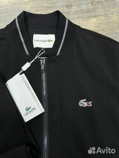 Спортивный костюм Lacoste