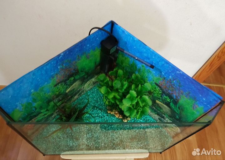 Аквариум
