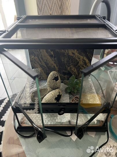 Террариум для рептилий 30x30x30 (Exo Terra)