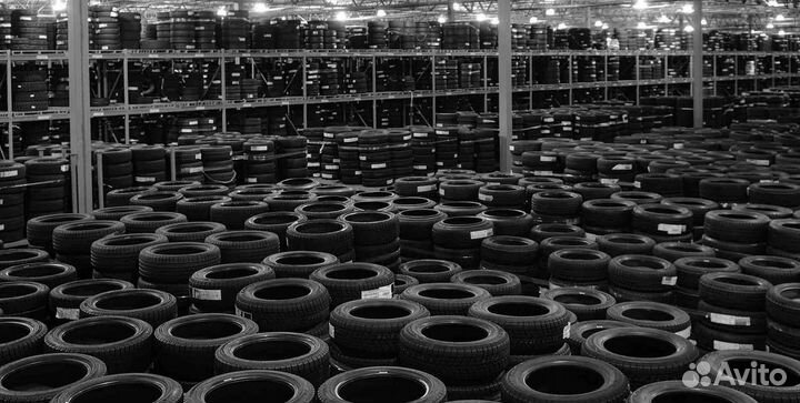 Nokian Tyres Hakkapeliitta R5 205/55 R16 94R