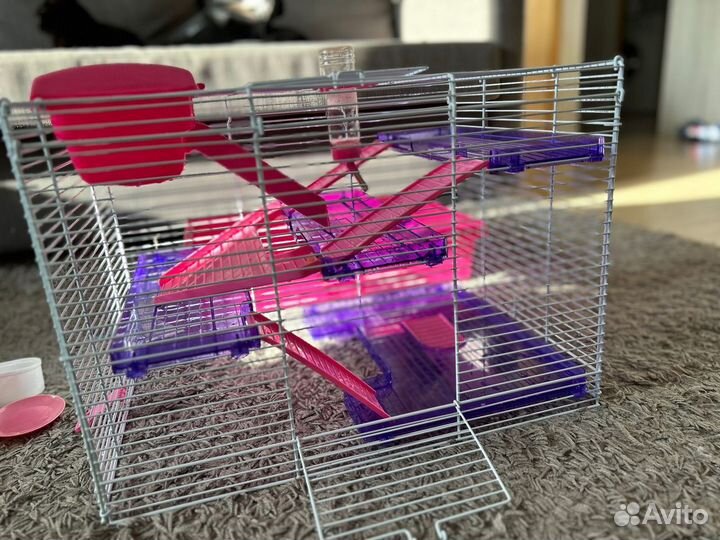Клетка для джунгарского хомяка