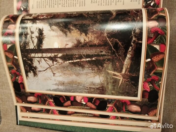 Подарочная книга русский лес: 