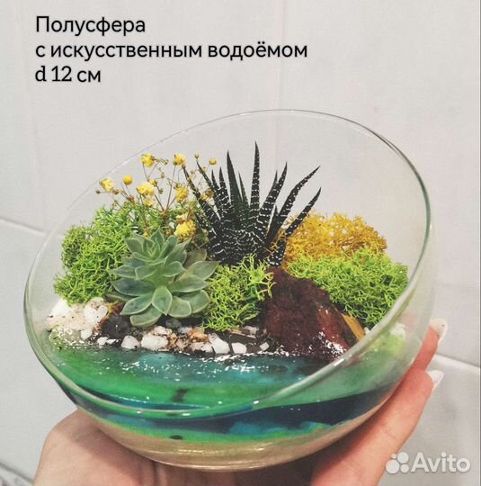 Флорариум с Водоёмом. Подарок