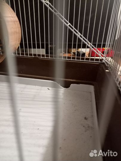 Клетка для грызунов