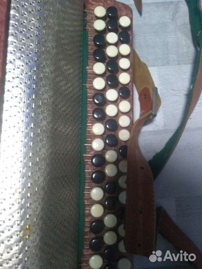 Баян юность