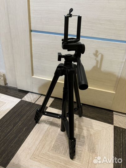 Мышка беспородная штатив