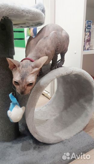 Когтеточка-столбик с тоннелем серая (ковролин)