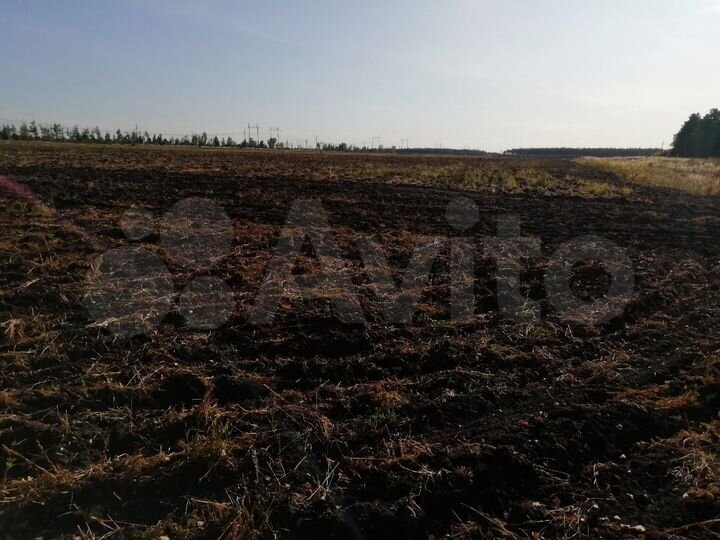 Участок 137 га (СНТ, ДНП)