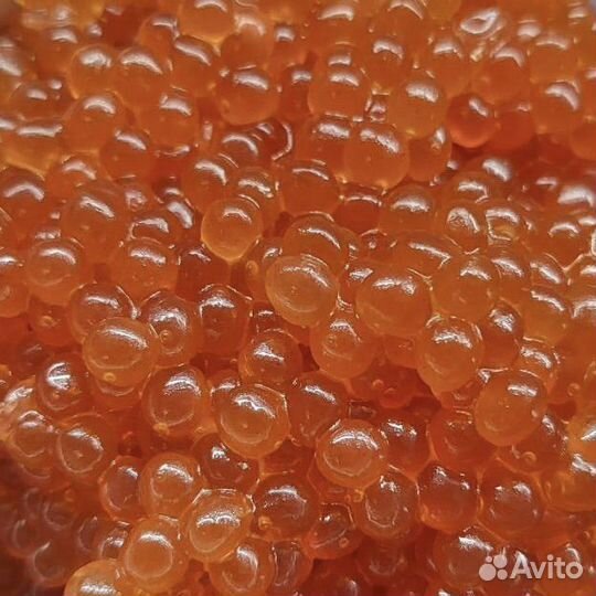 Икра рыб лососевых пород