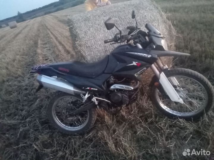 Irbis xr250r