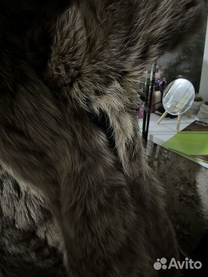 Шуба из песца