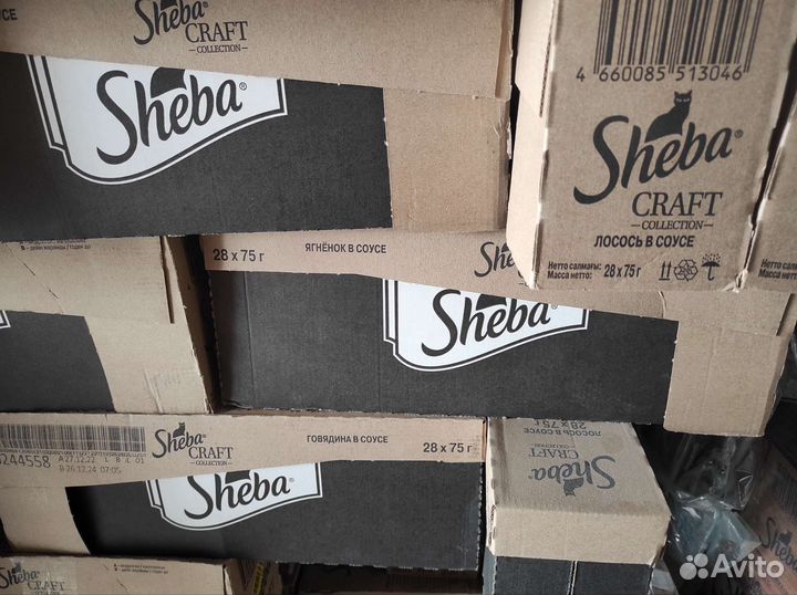 Корм для кошек