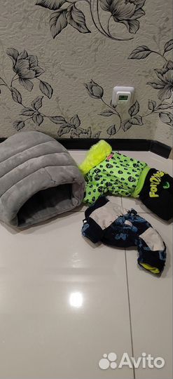 Домик для маленьких собак и два комбинезона