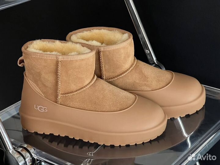 Угги Классикс Мужские Ugg Classic Mini II Chestnut