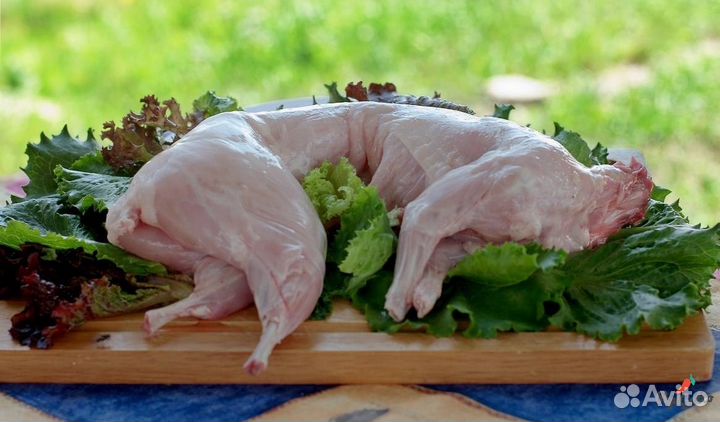 Мясо кролика