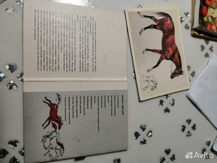 Открытки с лошадьми