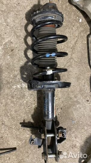 Амортизатор передний левый правый Honda civic 5d