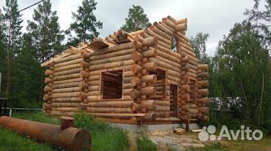 Строительство домов / срубы из лиственницы, кедра