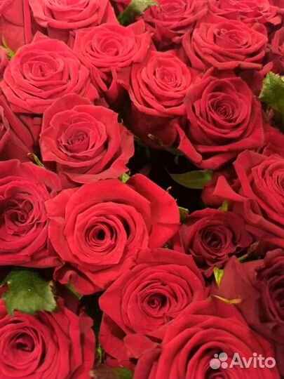 Свежие цветы