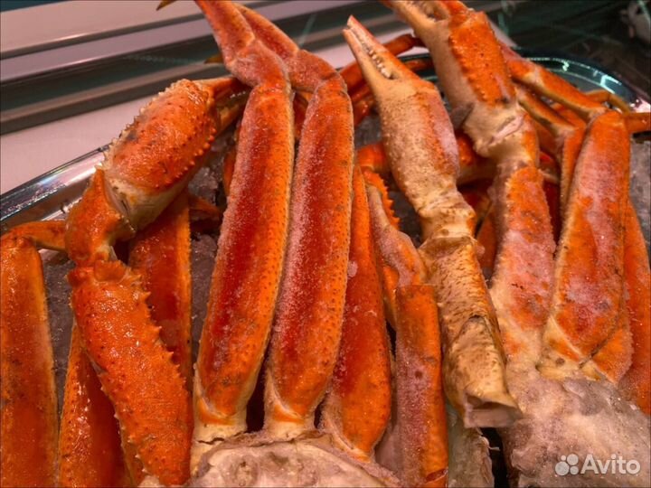 Клешни краба стригуна. 2023