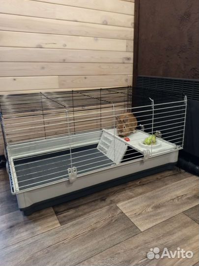 Клетка с кроликом