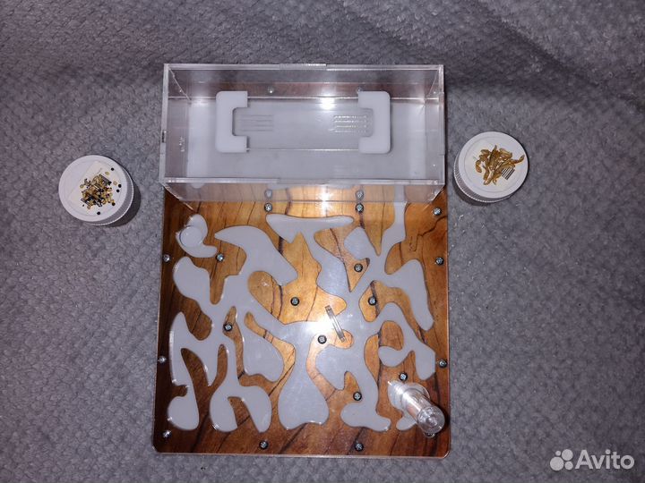 Муравьиная ферма