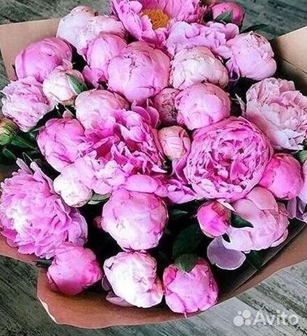 Пионы Букет пионов Доставка цветов