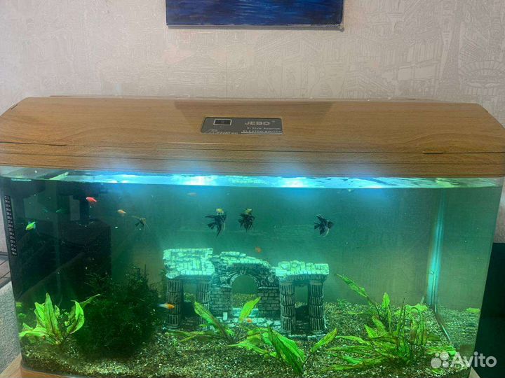 Аквариум jebo