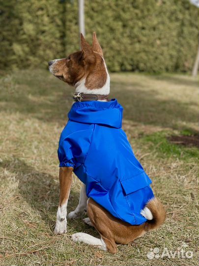 Дождевик для собаки