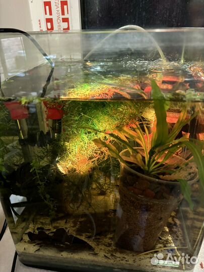 Fluval Prism 2.0 аквариумный подводный прожектор